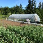 FARM JOB: VICTORIA, BC – City’s Edge Farm, Farm Crew