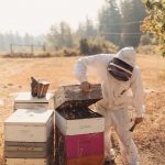 FARM JOB: Armstrong, BC – The Okanagan Honey Company, Beekeepers Apprentice