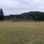 LAND OPPORTUNITY: 15+ Acres for Regenerative Agriculture – Saanich, BC