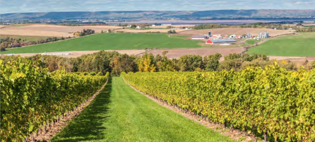 FCC Farmland Values Report 2021