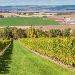 2021 Farmland Values Report Recap – B.C. Spotlight