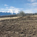 LAND OPPORTUNITY: 35 Acre Field Outside of Smithers, BC