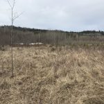 LAND OPPORTUNITY: 20 Acres of Raw Land outside Quesnel, BC