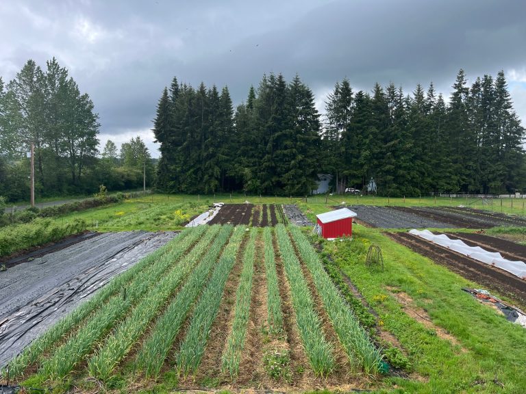 Find farmland, land lease templates, land for rent