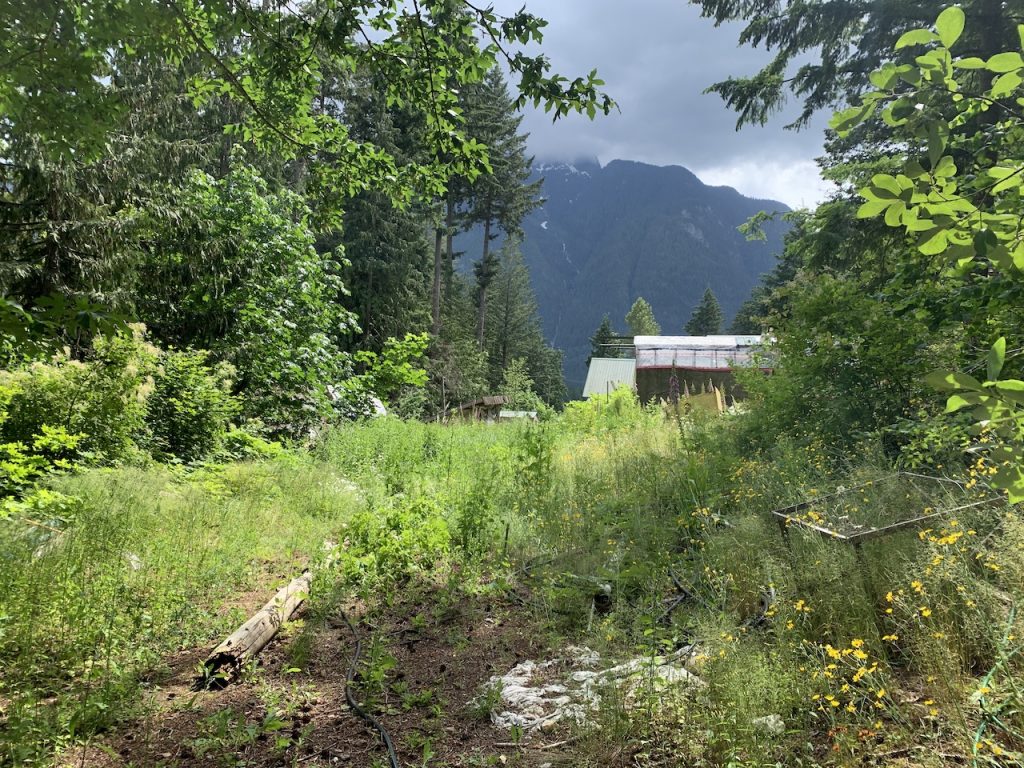 Find farmland, land lease templates, land for rent