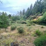 LAND OPPORTUNITY: Quiet Half Acre for Agricultural Use – East Sooke, BC