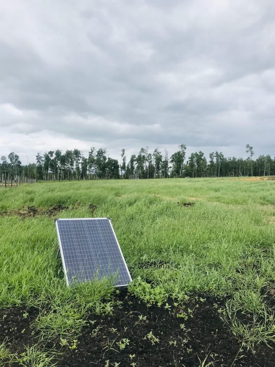 EVENT RECAP Land Social at Pure Pastures Regenerative Farm Rose