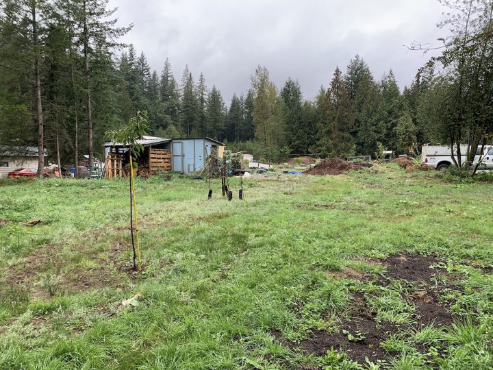 LAND OPPORTUNITY 1.5 ACRES OF FARMLAND MAPLE RIDGE, BC Young Agrarians