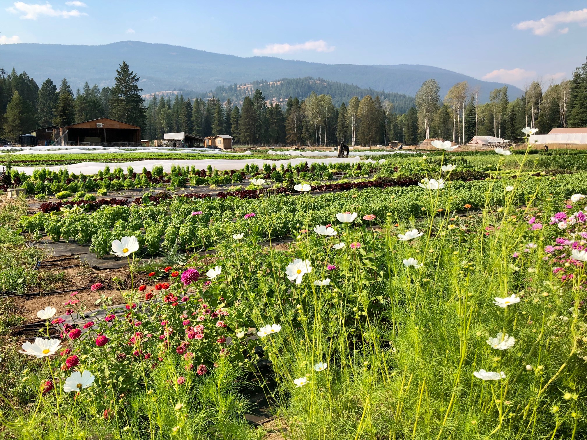 OCT 23, 2022 KRESTOVA, BC Land Social & Tool School at Linden Lane Farms