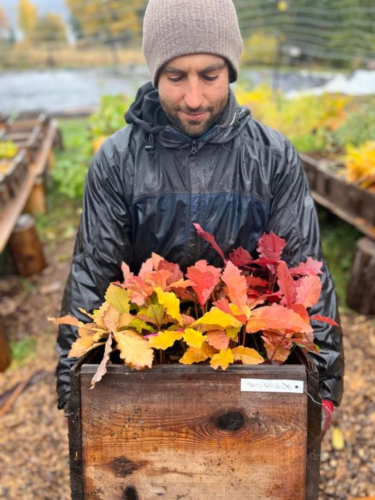 Brian of Zero Fox Tree Crops