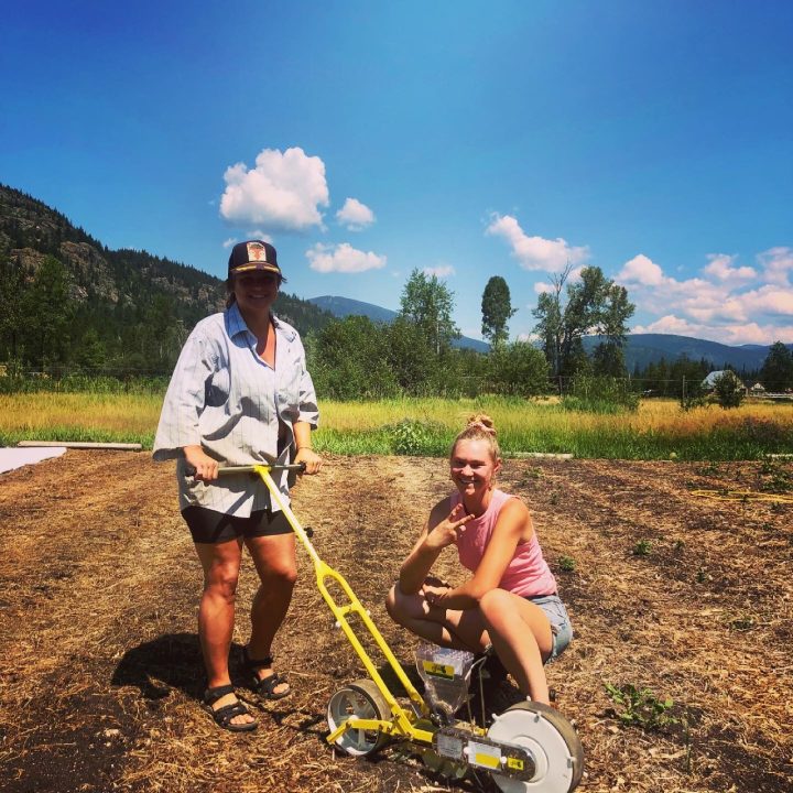 Farmers sharing a Jang Seeder to direct seed carrots