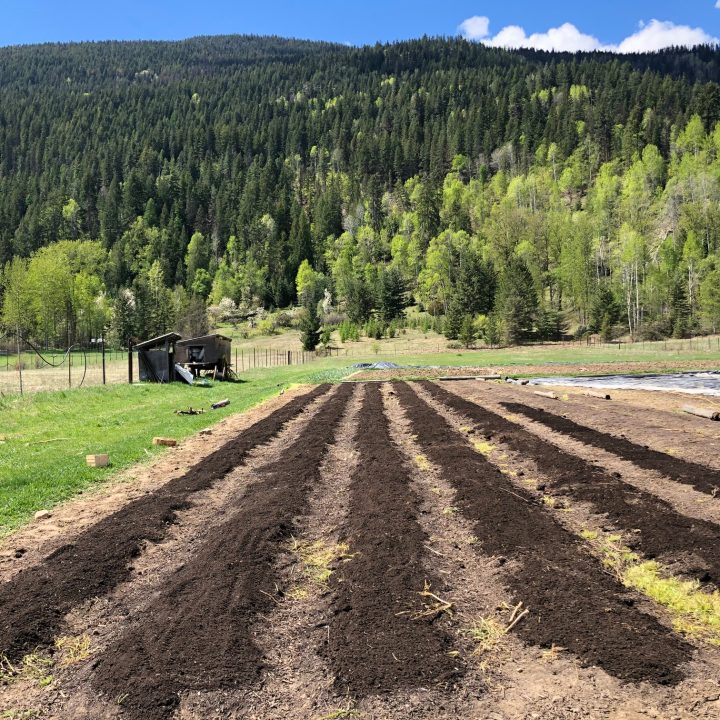 100 ft market garden beds in Tarrys