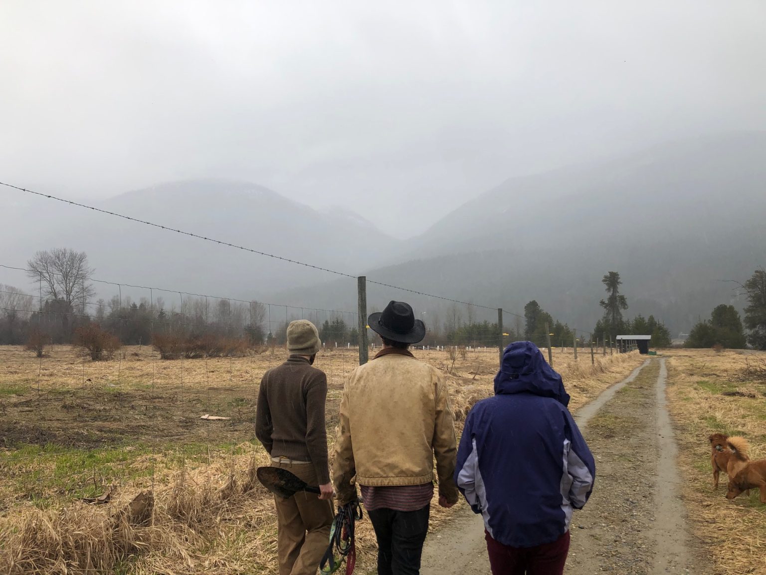 From Seed to Sale Four Years of Land Matching in the Kootenays Young
