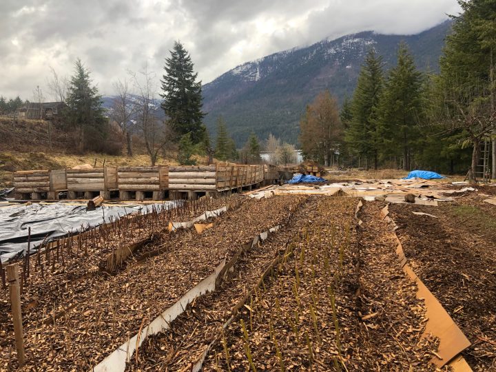 Nursery in development by Zero Fox Tree Crops in Harrop