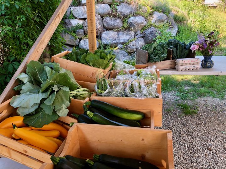 Farm Stand in Tarrys