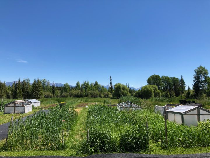 Kootenay Society for Sustainable Living in Meadowbrook