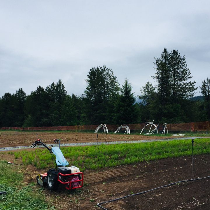 KLAS BCS Tractor for rent at Linden Lane Farms