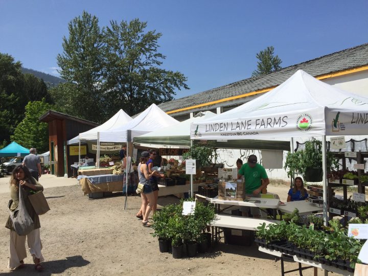 Nelson Farmers Market at Cottonwood Falls