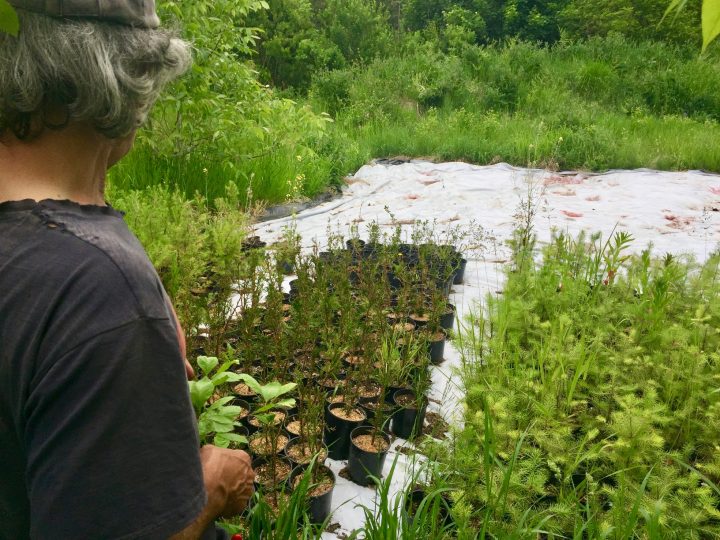 Gregoire from Kootenay Permaculture