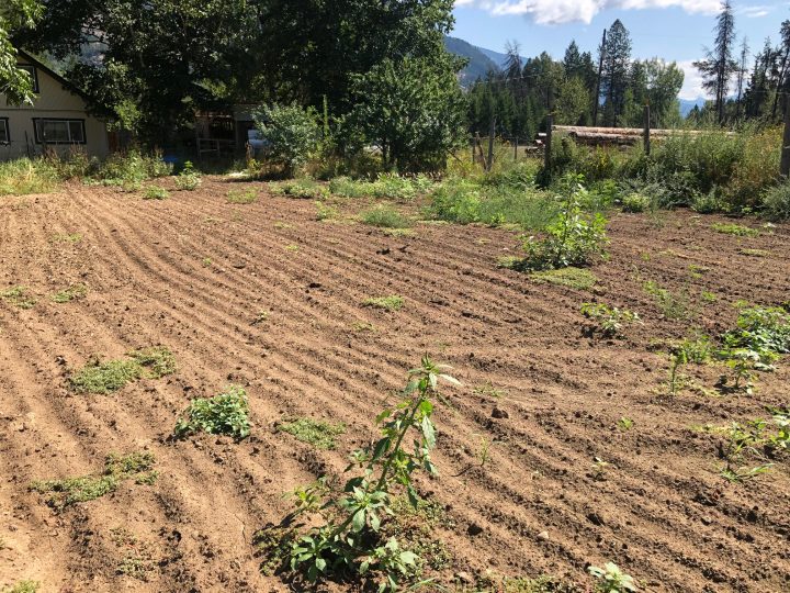 Land opportunity in Passmore