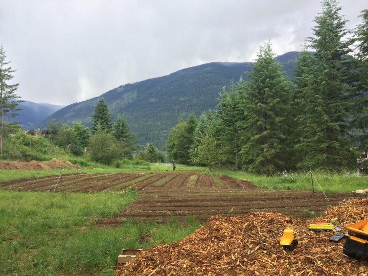 Land leased by Zero Fox Tree Crops in Harrop