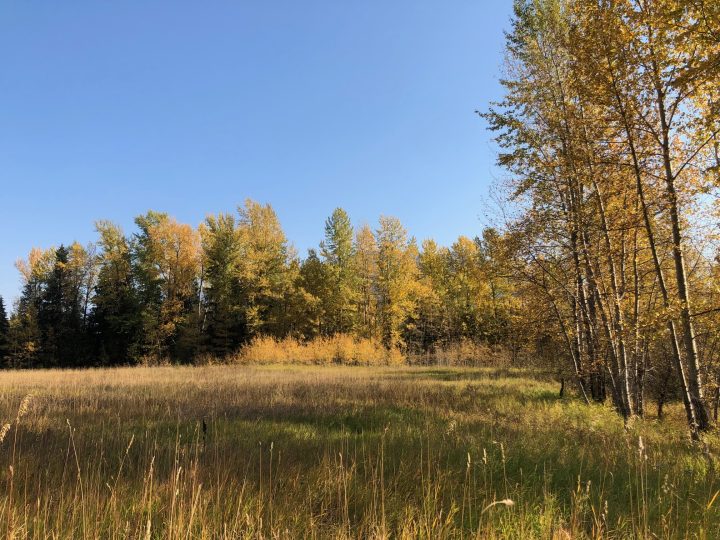 Land opportunity in Fernie
