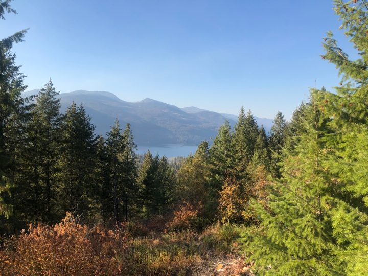 Land opportunity in Christina Lake