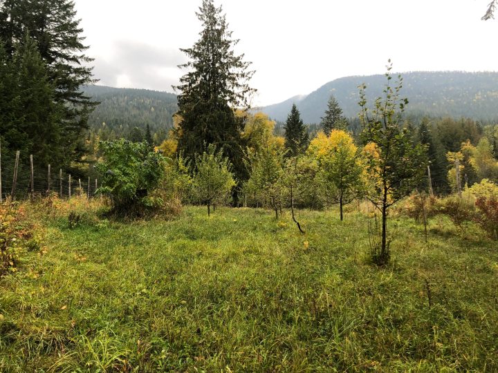 Leased land in Harrop