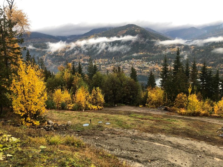 Land opportunity for beekeeping near Nelson