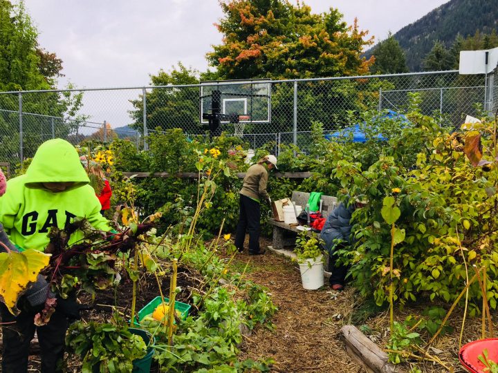 Lucerne School community gardening day in New Denver
