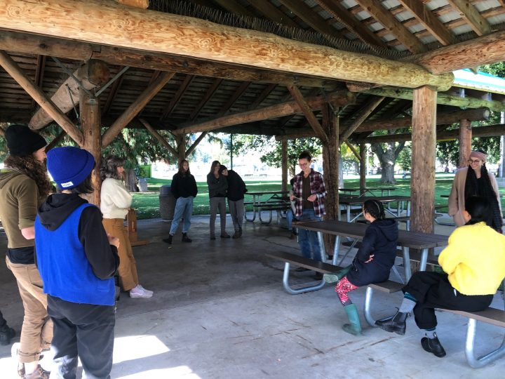 Flax Fibre Processing Workshop with EartHand Gleaners Society in Nelson (2021)