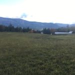 LAND OPPORTUNITY: 2 -3 acres available for cultivation, Enderby, B.C.