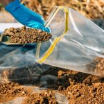 Soil Testing: How to Interpret Results and Calculate Fertilizer Needs
