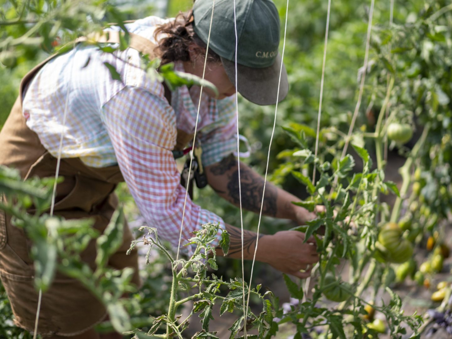 FARM JOB Vancouver, British Columbia UBC Farm, Field Assistant