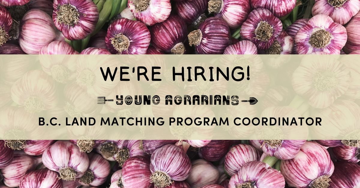 Hiring - BC Land Matching Program Coordinator Young Agrarians