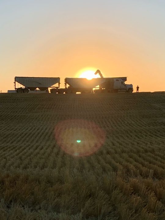 YA APPRENTICESHIP 2023 Foam Lake, SK Diamond F Farms Young Agrarians