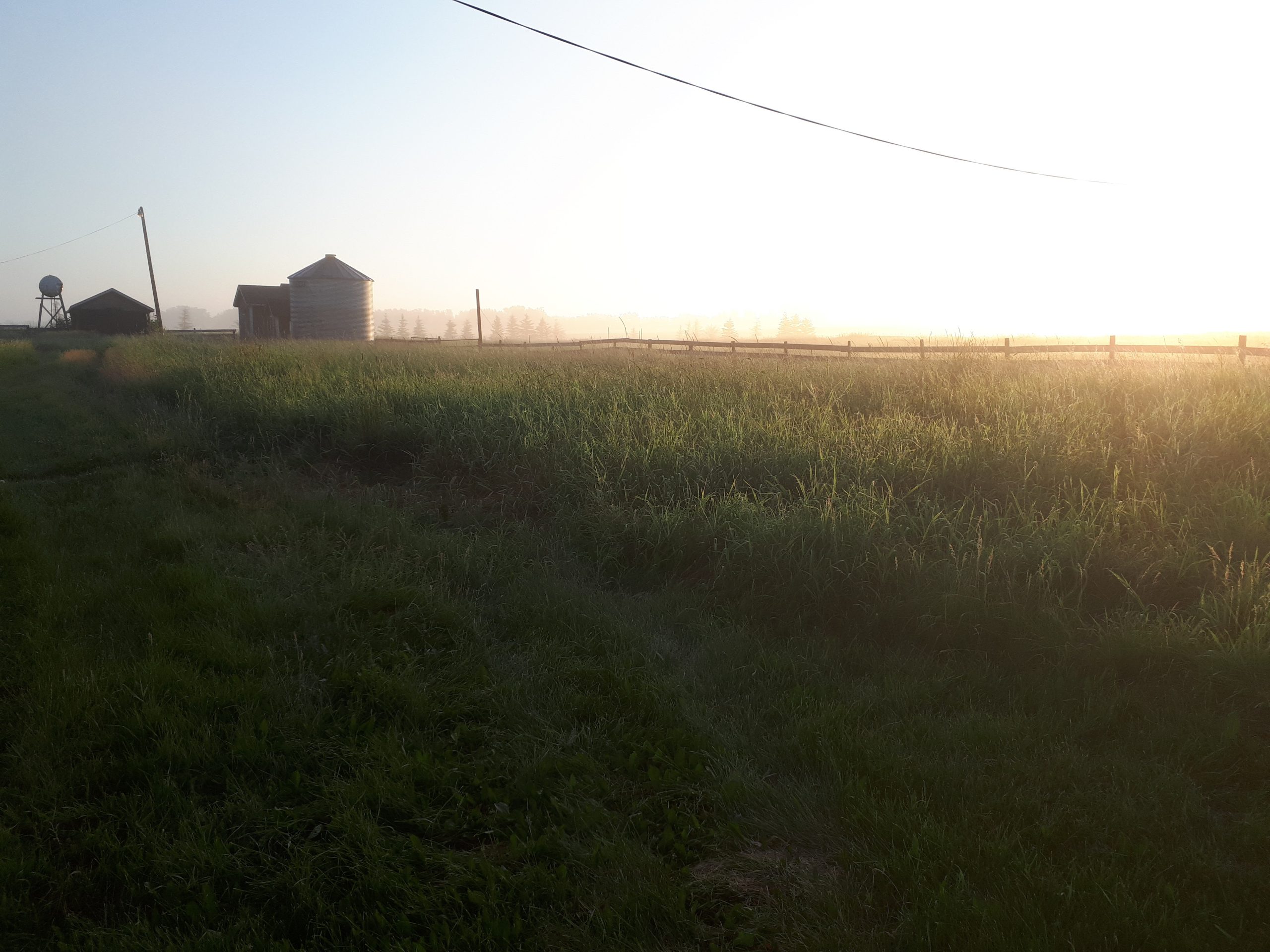 Sunrise on Fairfolk farm across a field of grass and a barn