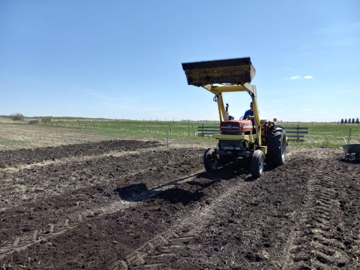 A tractor with its bucket lifted high in the air preparing a garden bed for seeding on Fairfolk Farm