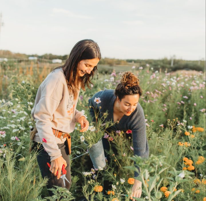 Ashley and Brianna Sims picking flowers at Blooms on 7 Flower Farm