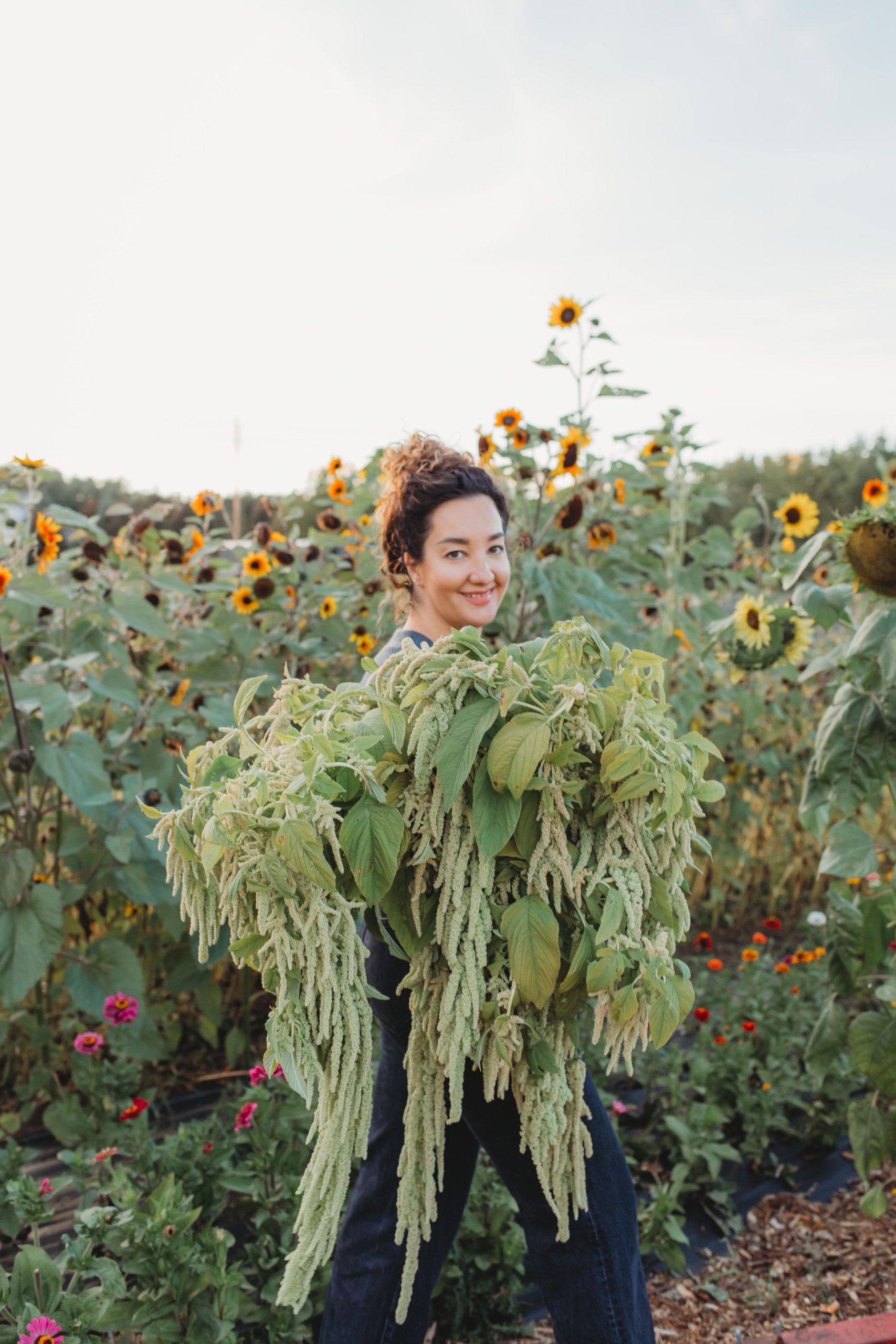 Ashley Sims standing in a field of sunflowers carrying an enormous bouquet of cascading amaranth