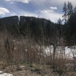LAND OPPORTUNITY – 2-3 Acres of Land for Lease – Fauquier, BC