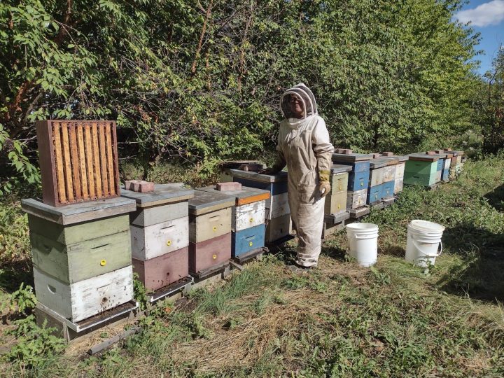 Maddie Hoffmann standing by her bee hives in full beekeeper's garb
