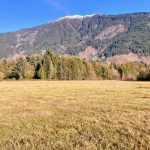 LAND OPPORTUNITY: Farmland for Lease in the Alberni Valley – Port Alberni, BC