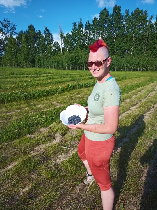 Dorothy Penner of Ural Farms in her haskap field holding up a bowl of fresh, blue haskaps.