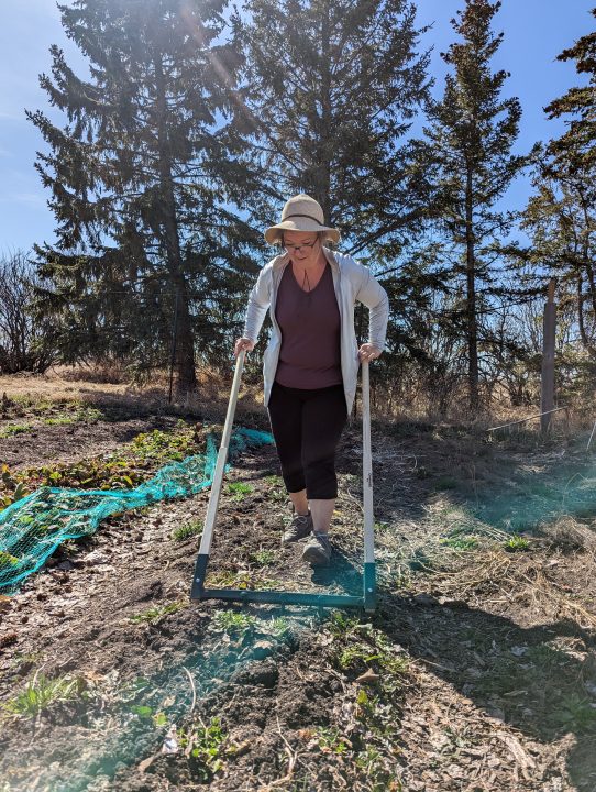 Stacey Audley of Audley Family Farm using a broadfork on her farm, Audley Family Farm