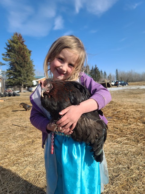 Young child holding a chicken.