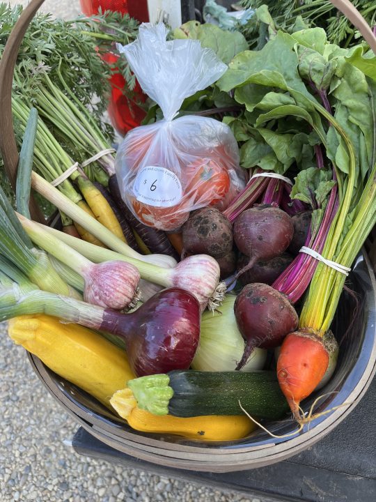 A CSA basket of colourful vegetables