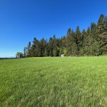 LAND OPPORTUNITY: 18 Acres of Possibilities, Minutes from Armstrong – Spallumcheen, BC
