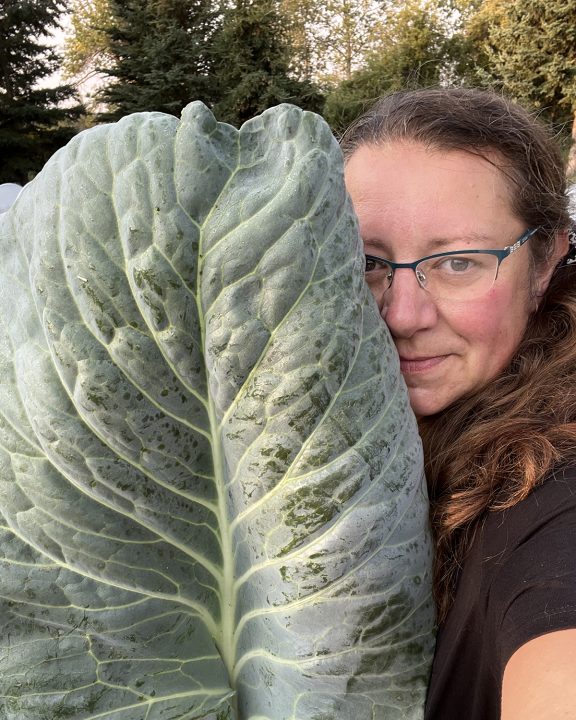 Kim Ross of Rossdale Farms hiding behind an enormous cabbage leaf