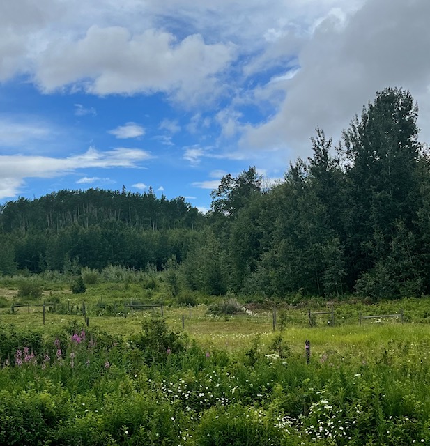 Young Agrarians LAND OPPORTUNITY 230 acres of offgrid paradise